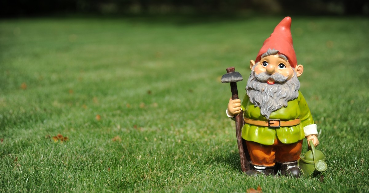 gnome in grass
