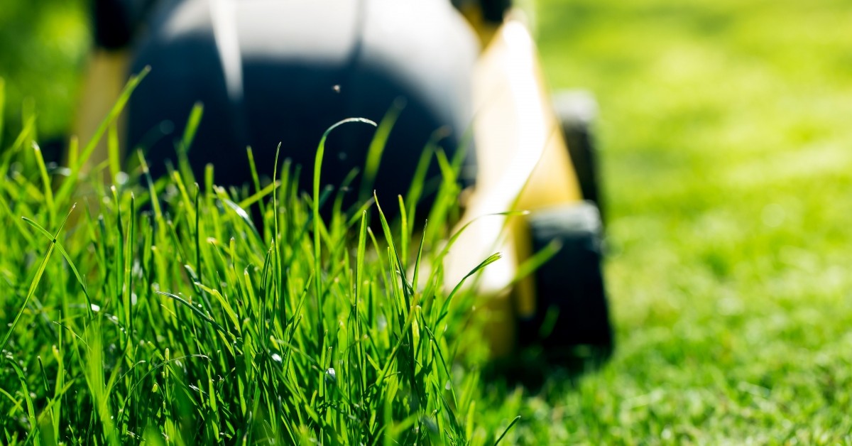 mowing lawn