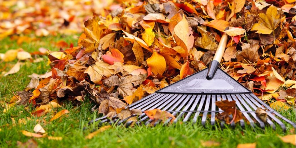 rake on a pile of leaves