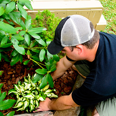 man landscaping