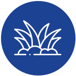 Residential-Lawn-Care icon
