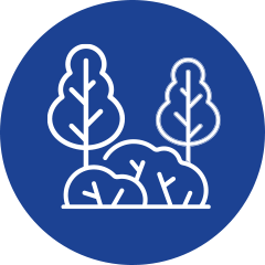 Tree-and-Shrub-Care icon
