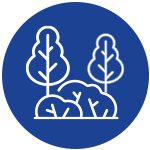 Tree-and-Shrub-Care icon