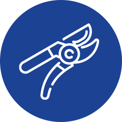 Tree-and-Shrub-Pruning icon