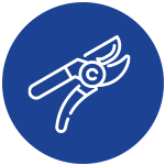 pruning icon