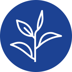 Weed-Control icon