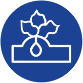 Broadleaf-Weed-Control icon