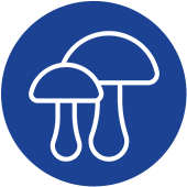 Fungicide-Treatments icon