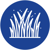 Lawn-Fertilization icon