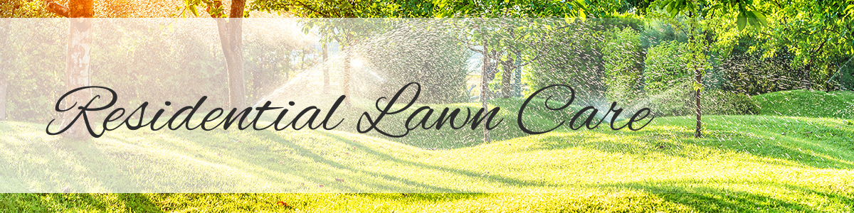 Residential-Lawn-Care