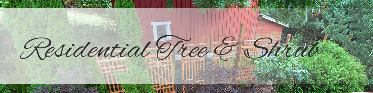 Residential-Tree-Shrub