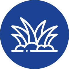 grass icon