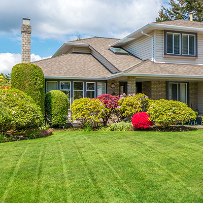 beautiful landscaping in front lawn of home