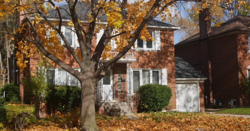brick house with a lot of leaves on lawn