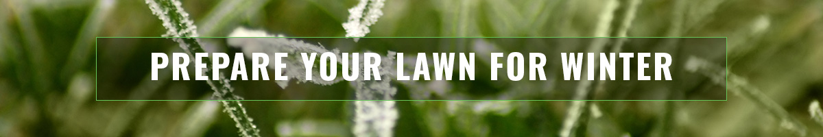prepare your lawn for winter