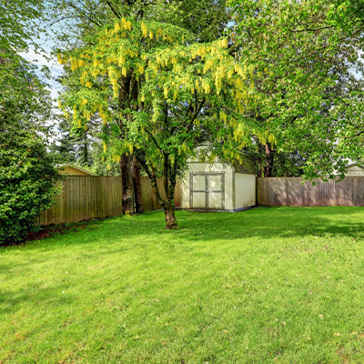 garden shed in corner of lawn