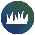 grass icon