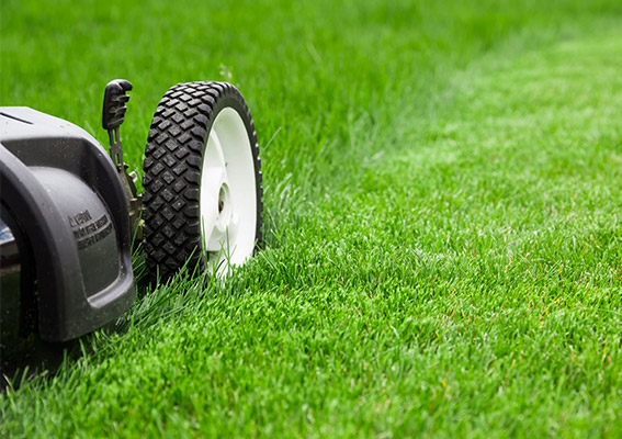 Photo of a lawn mower