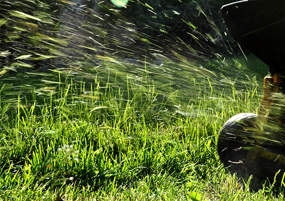 Photo of a lawn mower