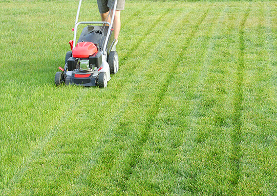 mowing lawn