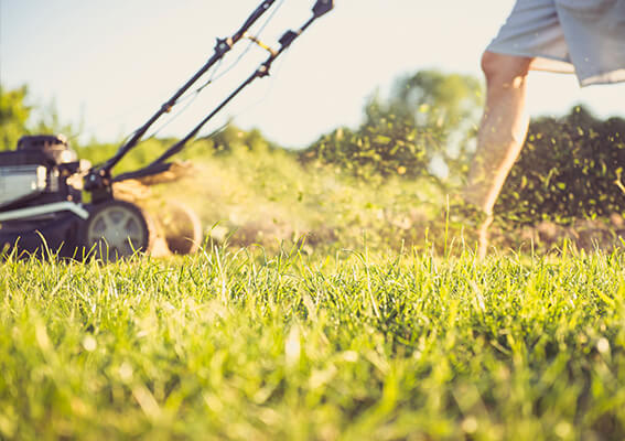 mowing lawn
