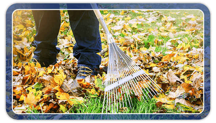 Image of a person raking leaves on their lawn