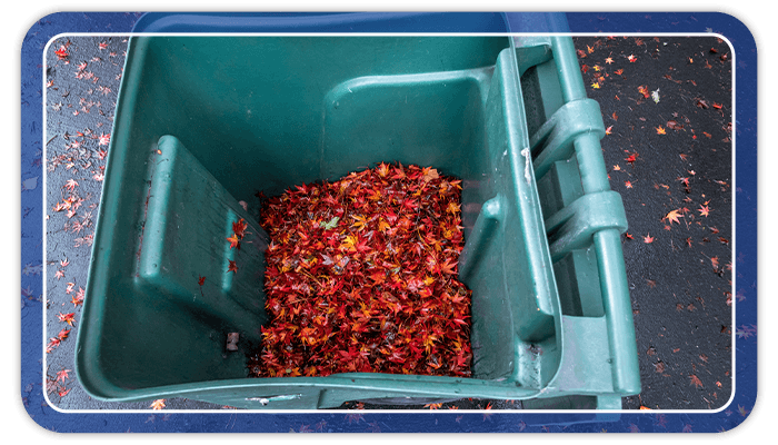 Image of yard waste container filled with leaves towards the beginning of winter