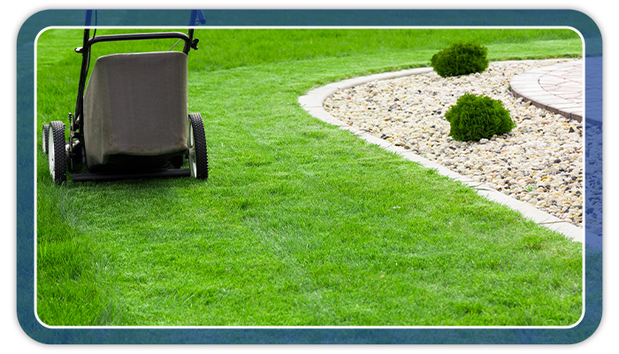 Image of a push lawn mower stopped during mowing.