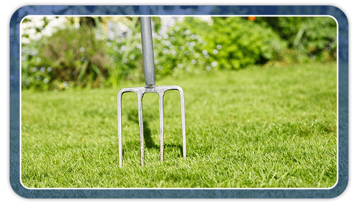 Image of a digging fork being used for lawn aeration