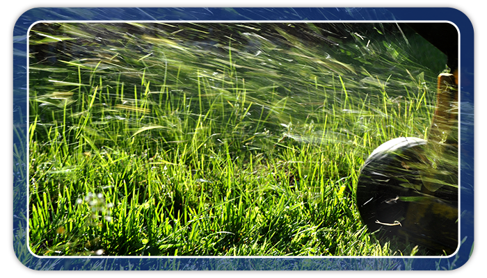 lawnmower cutting grass