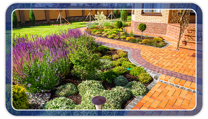 flower bed