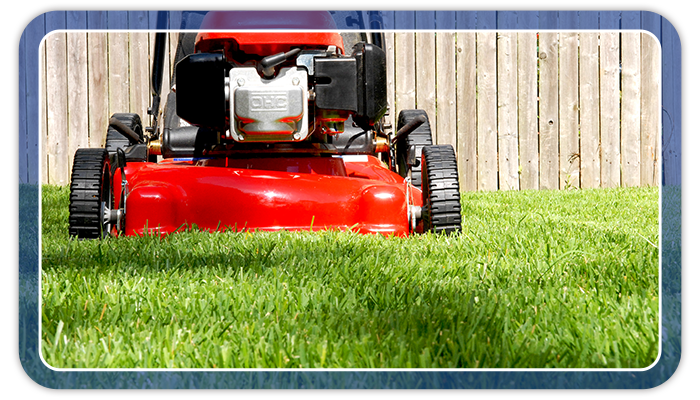 lawnmower