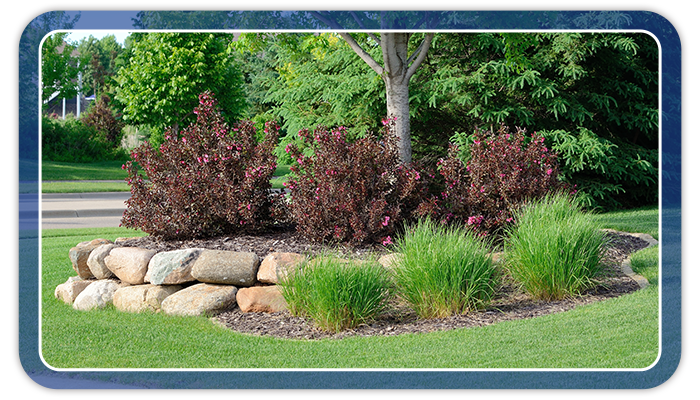 trees and bushes