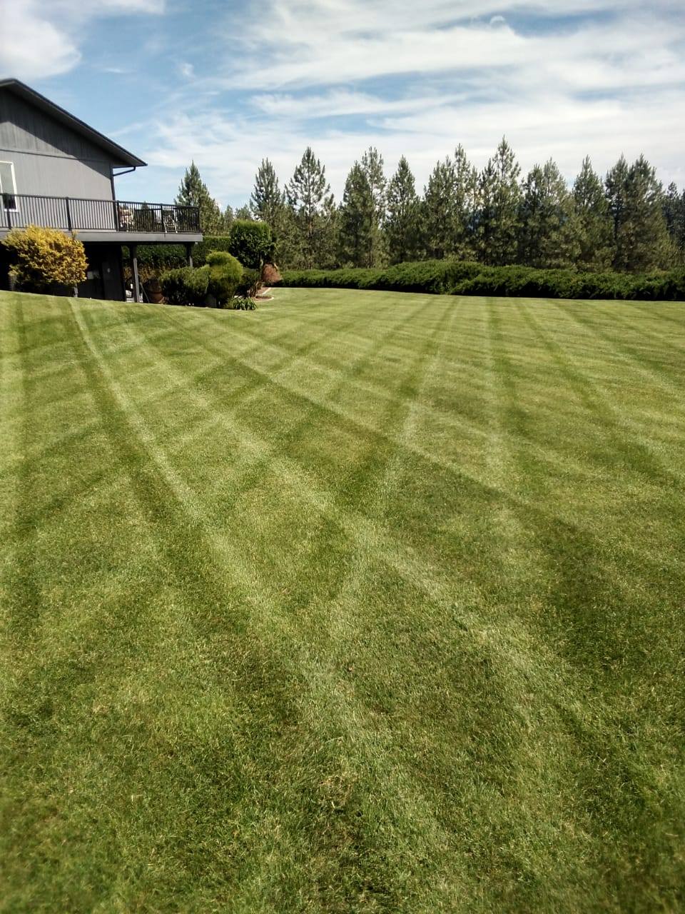 Impeccable Landscapes - Lawn Care