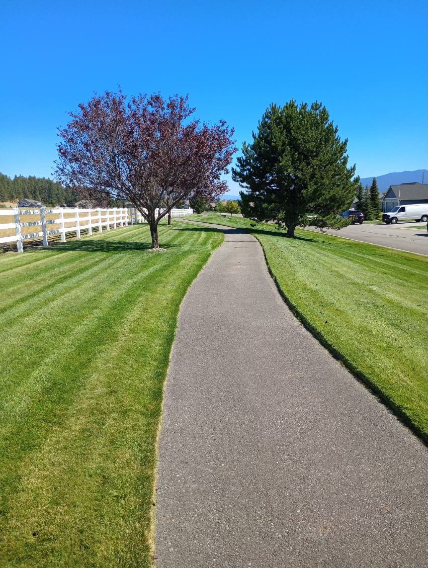 Impeccable Landscapes - Full service lawn matinenance