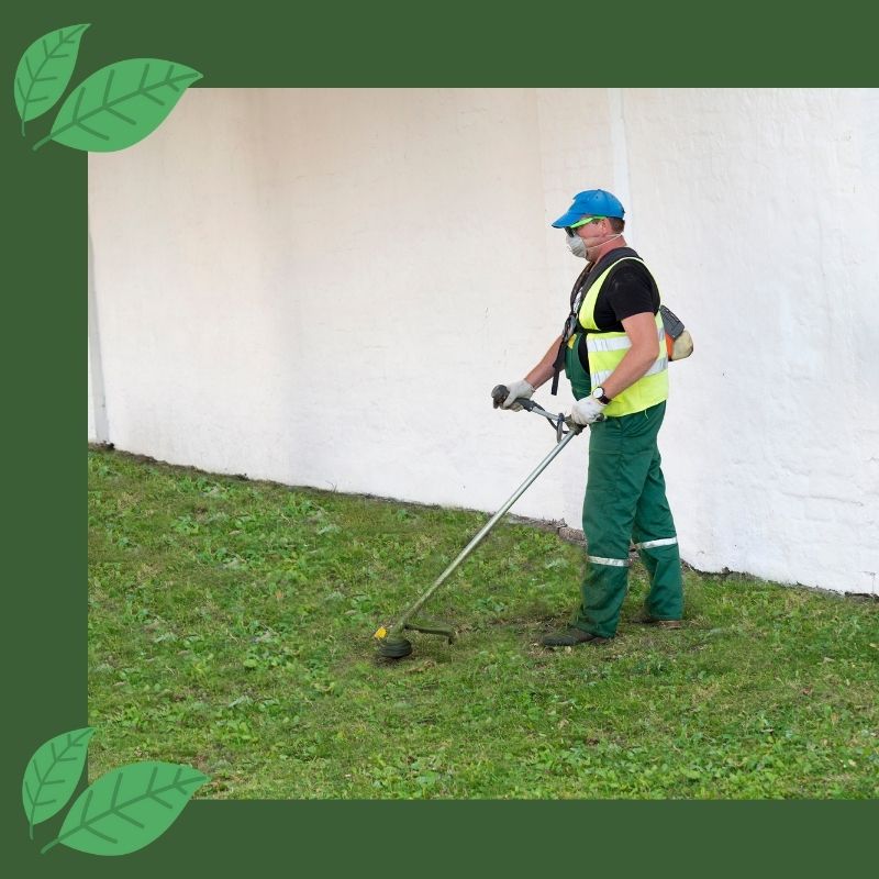 man using a weed wacker