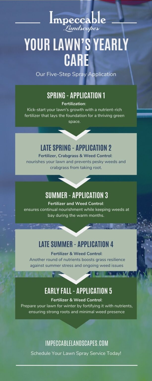 infographic on their 5 step lawn spray service