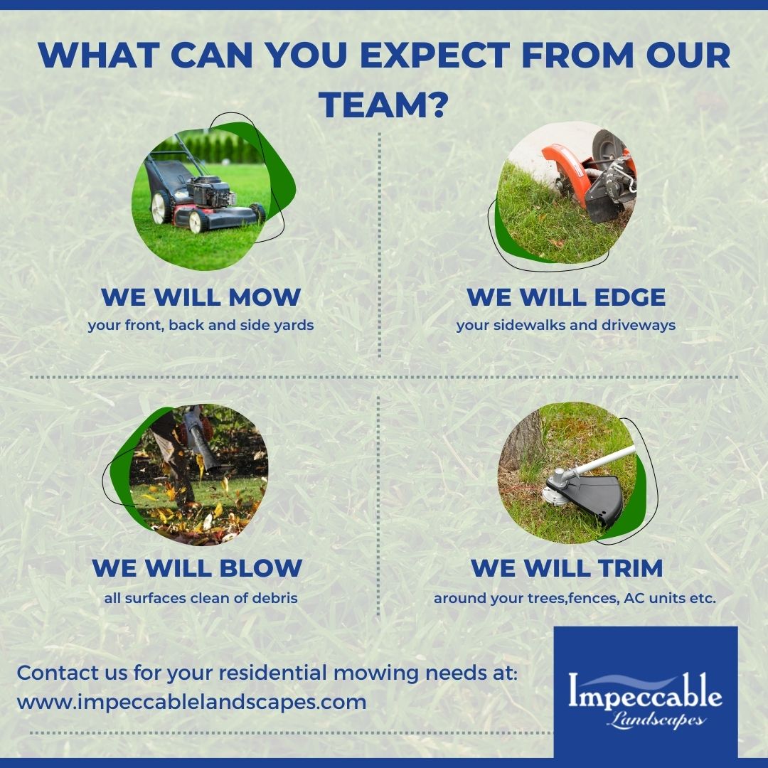 infographic explaining what their team does in a residential mowing service