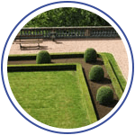 professional landscaping border